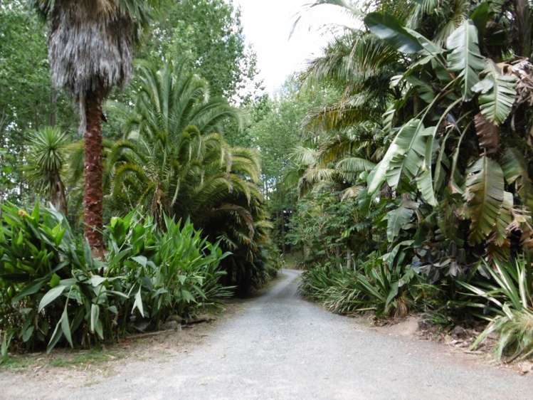 697 Tangihua Road Maungakaramea_16