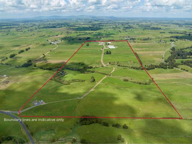 224 Herbert Road Morrinsville_1