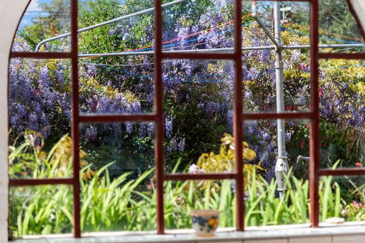 2 Pine Avenue Henderson_7