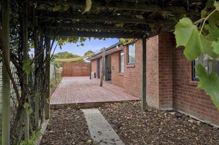 7 Puriri Crescent Hillcrest_19