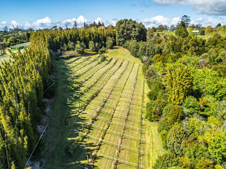 43e Blue Gum Lane Kerikeri_13