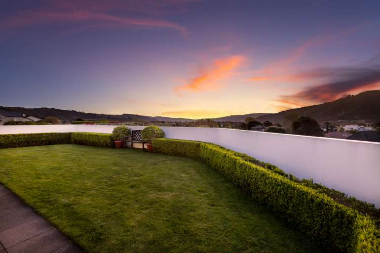 2 Vernon Grove Brown Owl_21