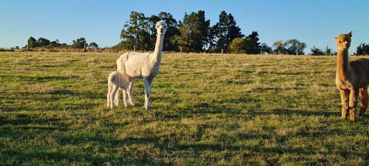 7 Skevington Lane Sefton_13