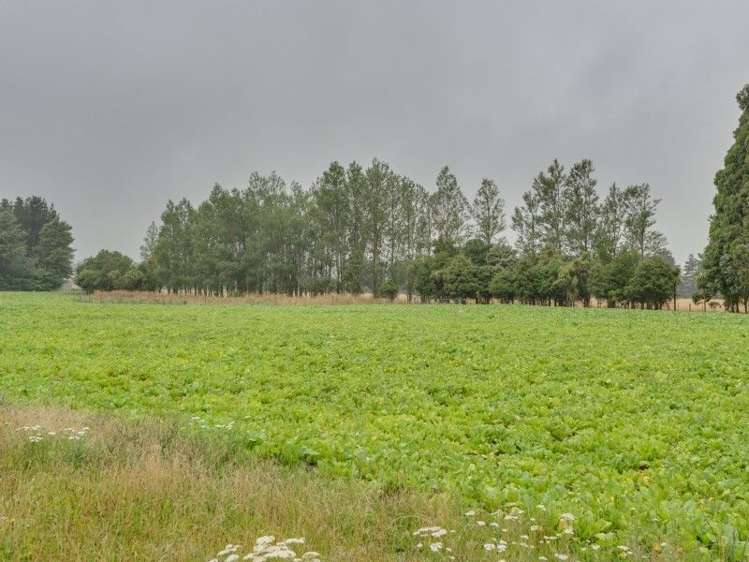 260 Taaffes Glen Road Okuku Range_16