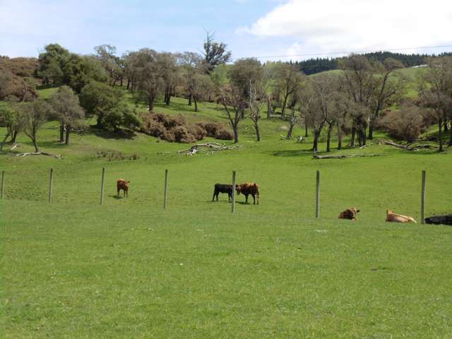 37 Quarry Road Waikouaiti_2