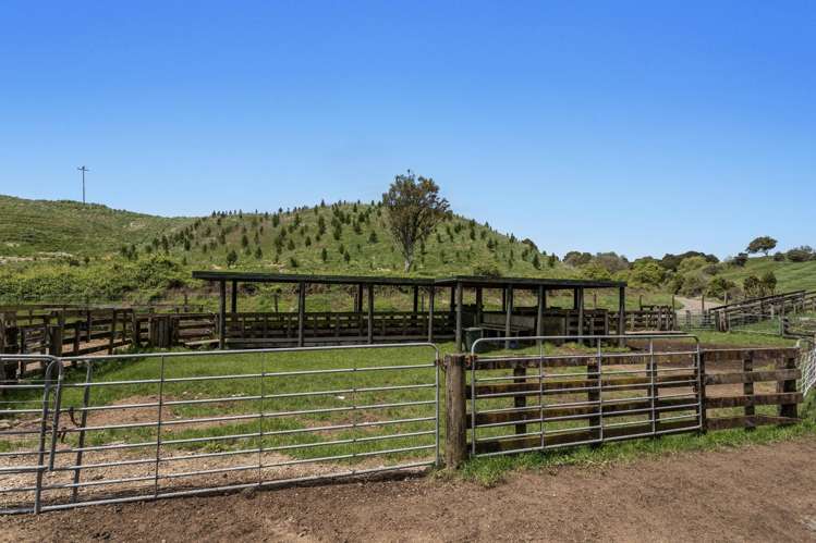 103 Rendall Road Rotoma_15