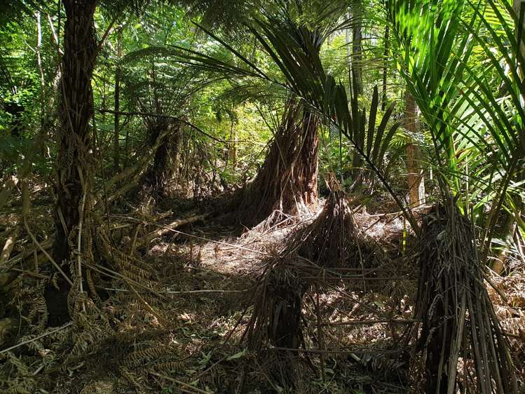 5 Waihirere Drive Tuateawa_27