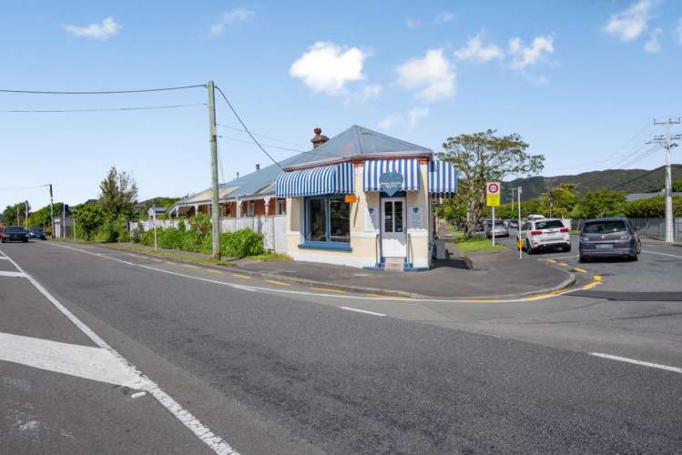 49 Pretoria Street Hutt Central_7