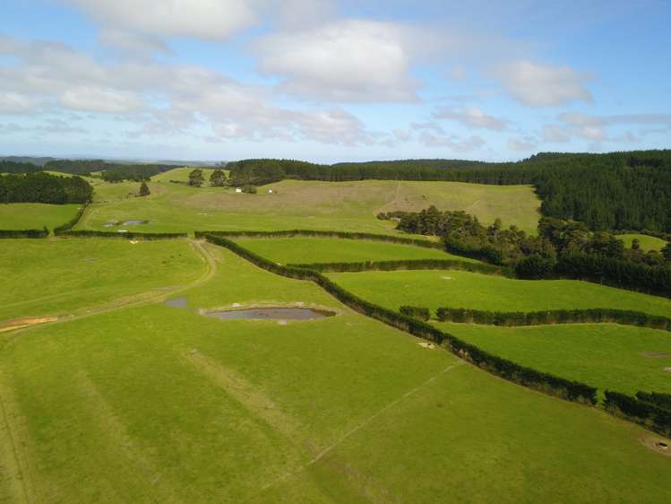 4969 Pouto Road Pouto_5