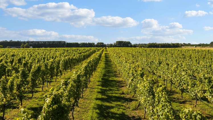 2321 Main South Road Burnham_25