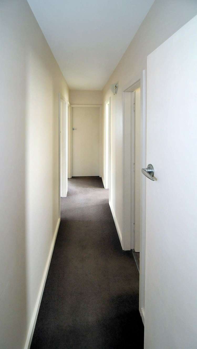 87 Thomson Street Tinwald_13