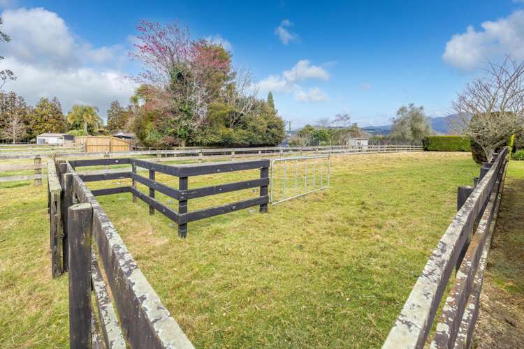 651 Mcclure Street Pirongia_29