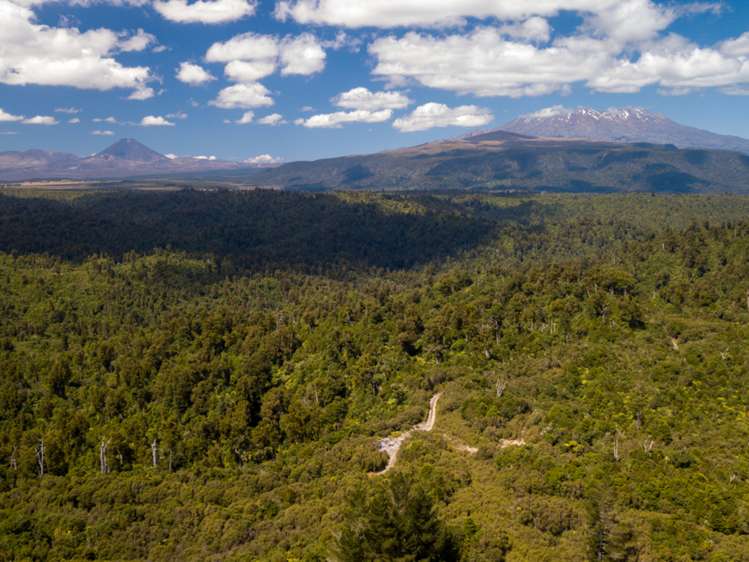 552b Cuff Road National Park_22