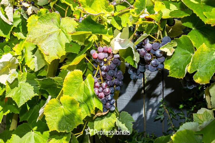 26a Ararino Street Trentham_17