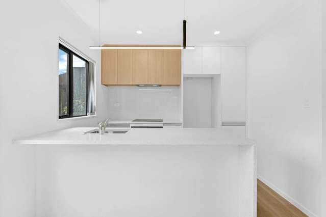 Lot 1/57 Kimber Hall Avenue Mt Roskill_4