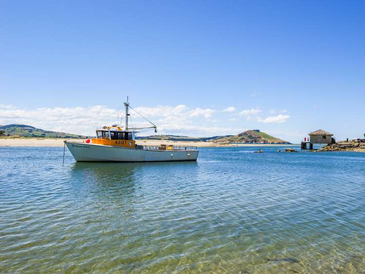 8 Dunnet Street Karitane_19