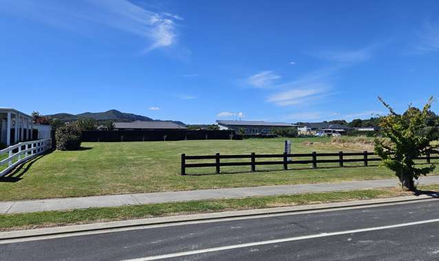 6 Pukatea Lane Kinloch_1