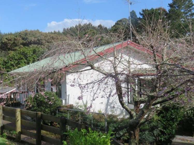 109 Onemana Drive Onemana_10