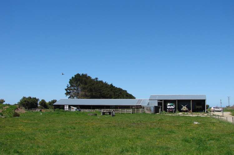 997 Waituna Lagoon Road Wyndham Surrounds_10