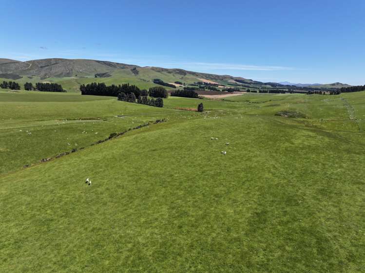 365 Glenure Hill Road Hokonui Hills_2