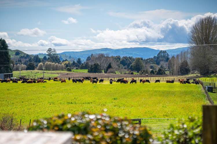 23 Onematua Road Owhango_18