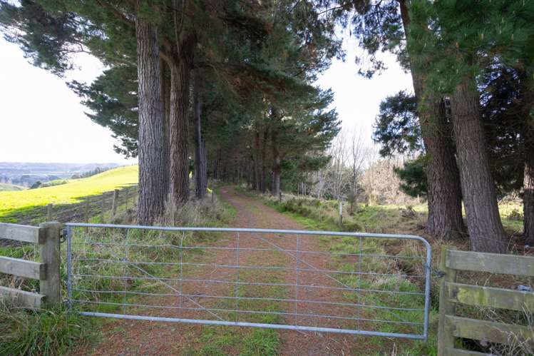 No 1 Line Pohangina_25