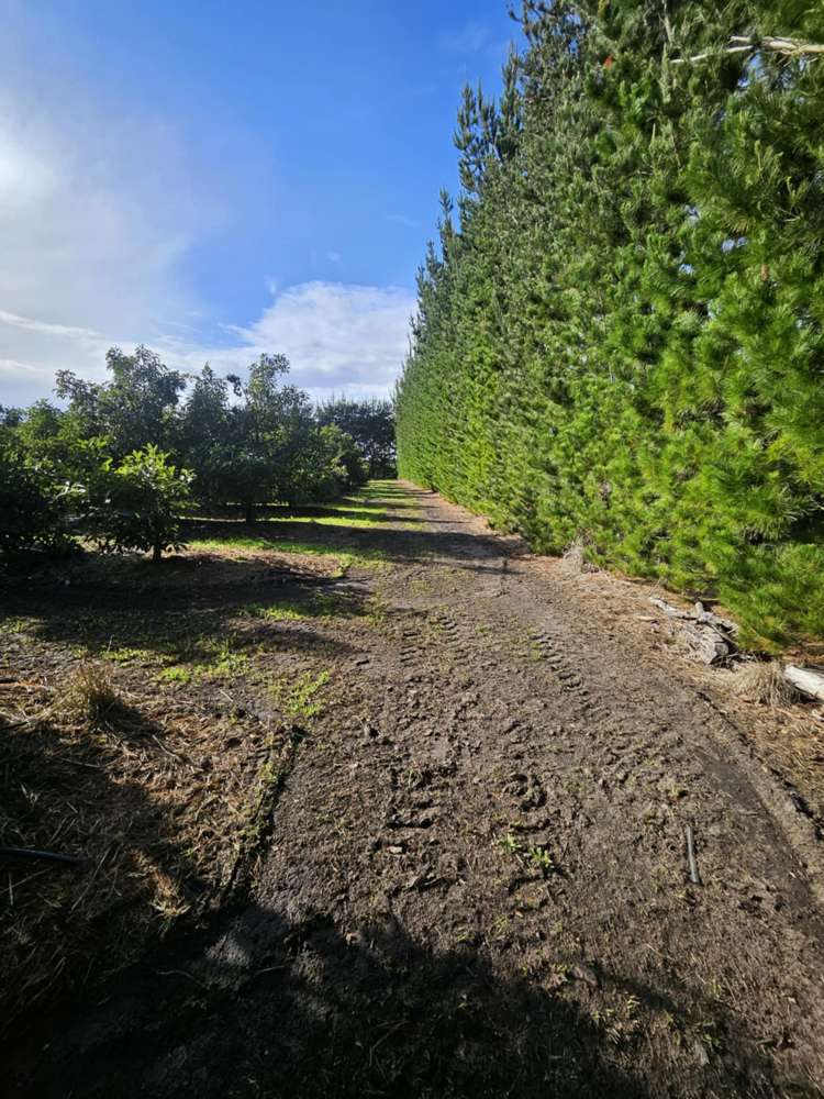 Heath Road Waiharara_14