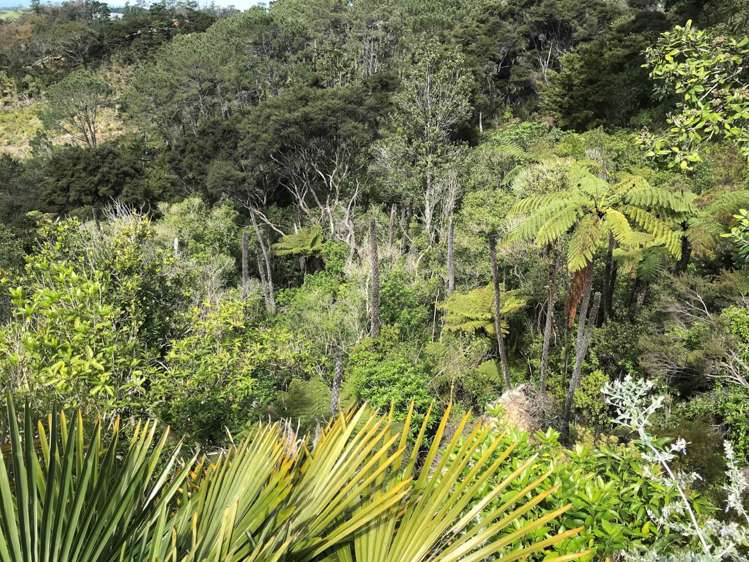 130a Wattle Bay Road Manukau Heads_14