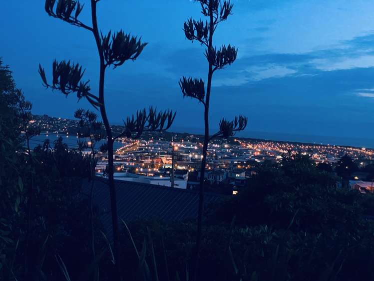 47 Russell Street Dunedin Central_4