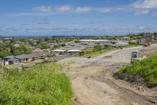 Kakariki Grove Waikanae_4