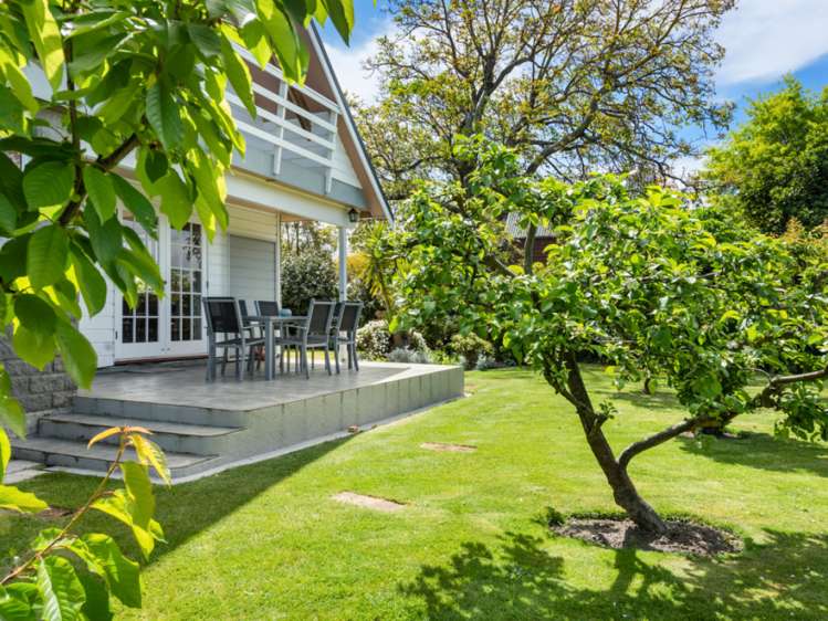 19 Purkiss Street Springlands_29