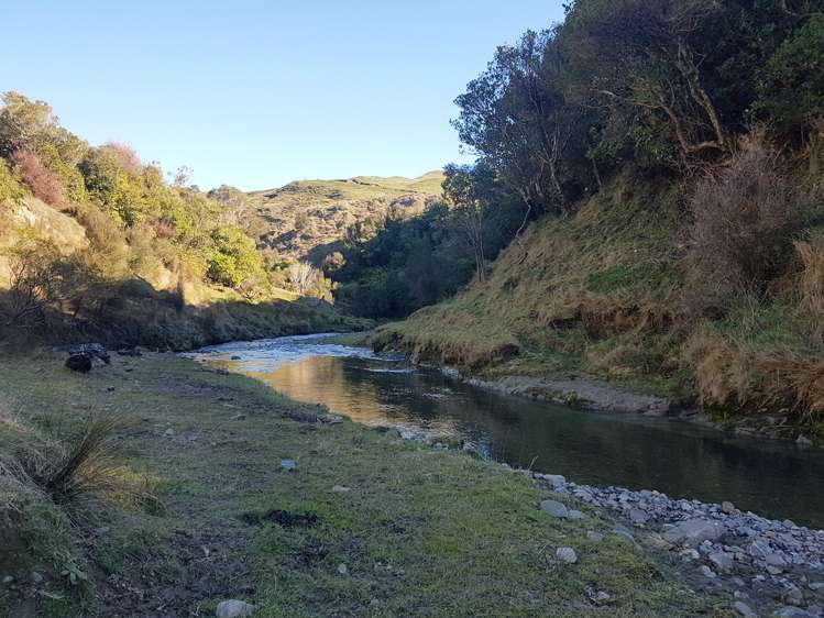 76064 State Highway 2 Rangitikei Surrounds_14
