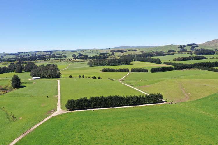 339 Mangaroa Road Eketahuna_3