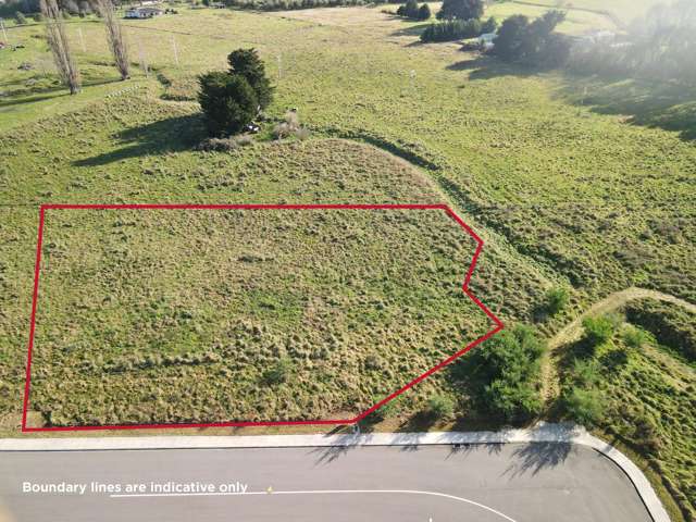 16 Thistle Avenue Masterton_2
