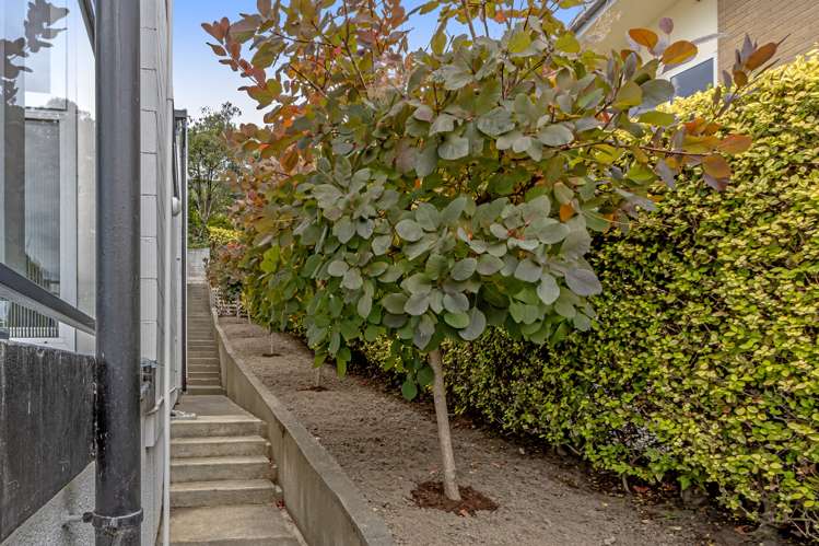 10 Clementine Lane Mount Pleasant_16