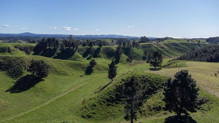 248 Lichenstein Road Okere Falls_4