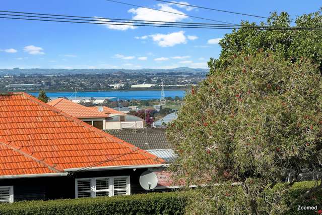 2/48a Tawa Road One Tree Hill_1