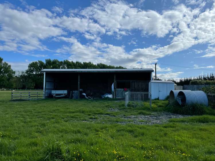 188 Waikakahi Road Pongaroa_15