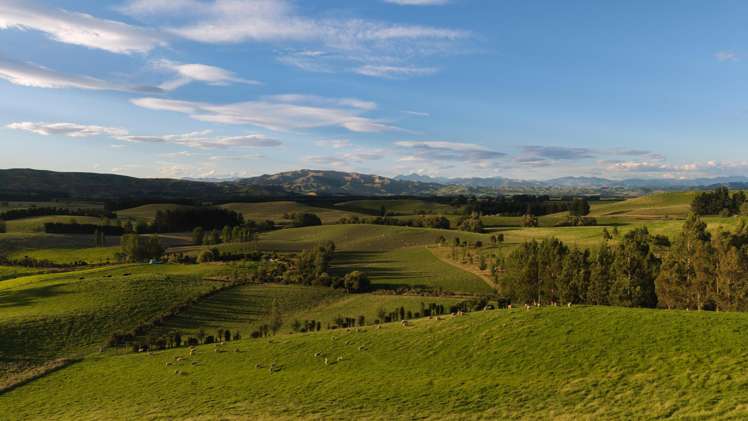 124 Cheviot Heights_2