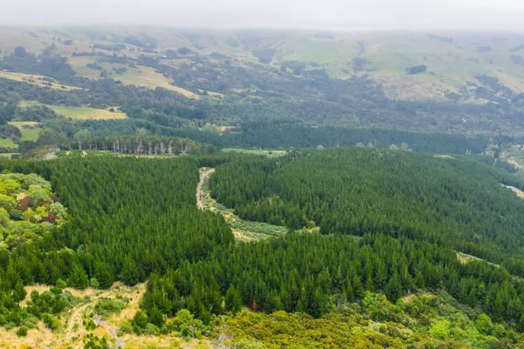 226 Middle Road Pigeon Bay_20