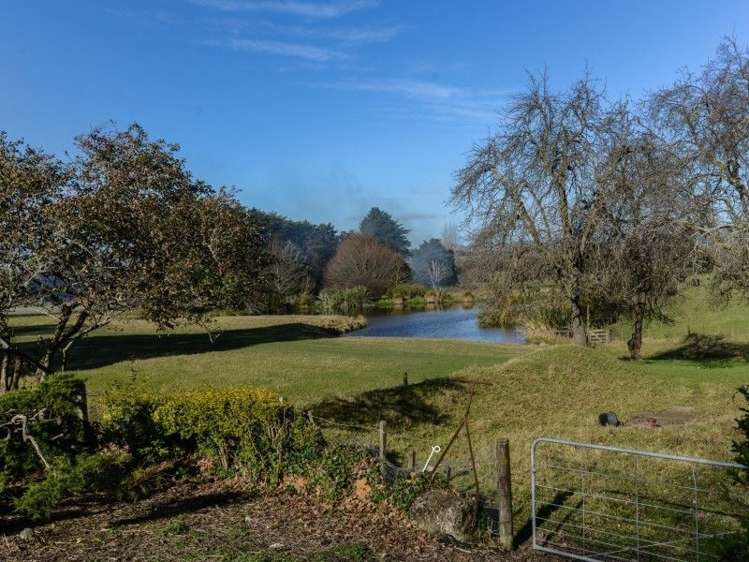 341 Hatuma Road Waipukurau and Surrounds_7