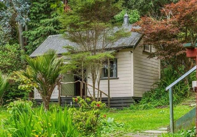 Owner selling unusual bush home before the bank steps in