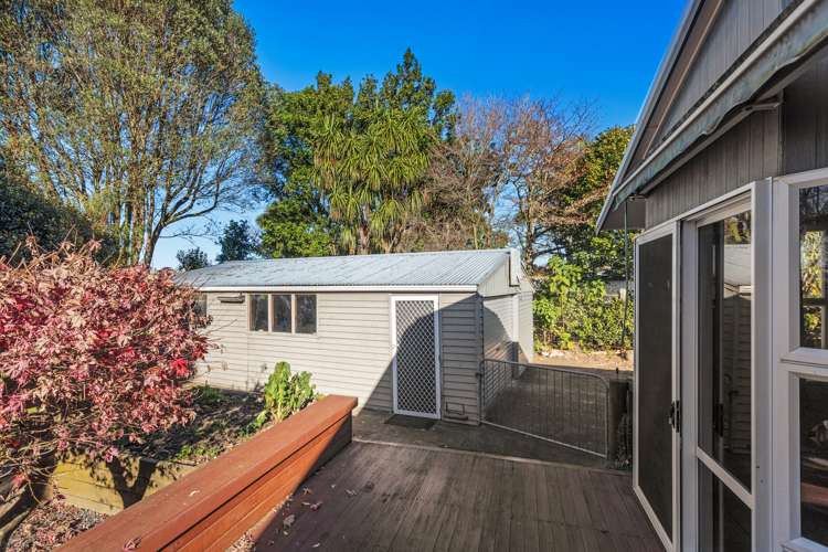81 College Road Edgecumbe_14