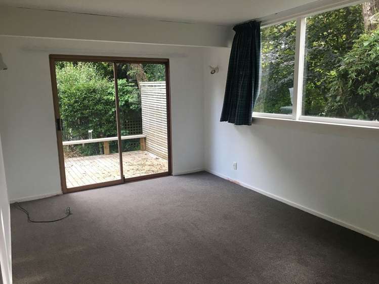 2A West Road Northland_17