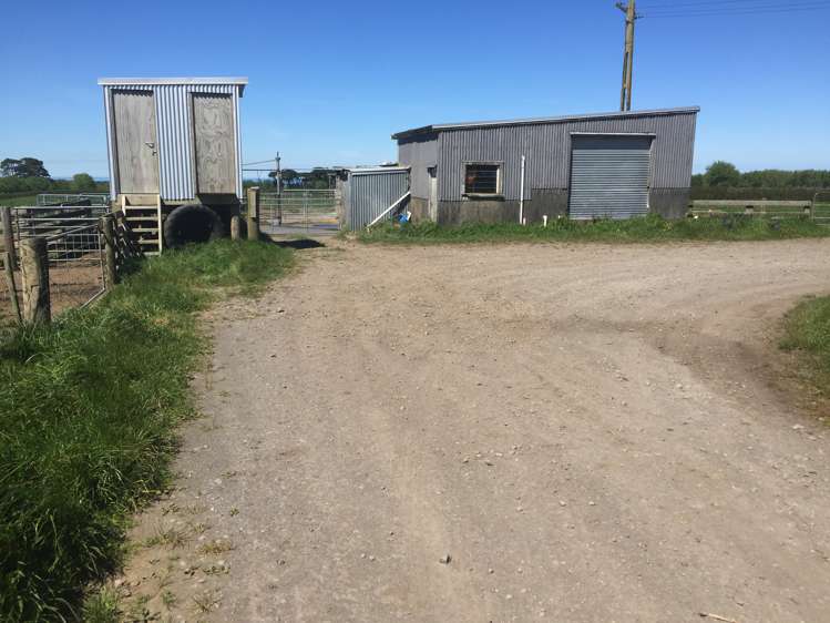 1703 Eltham Road Riverlea_9
