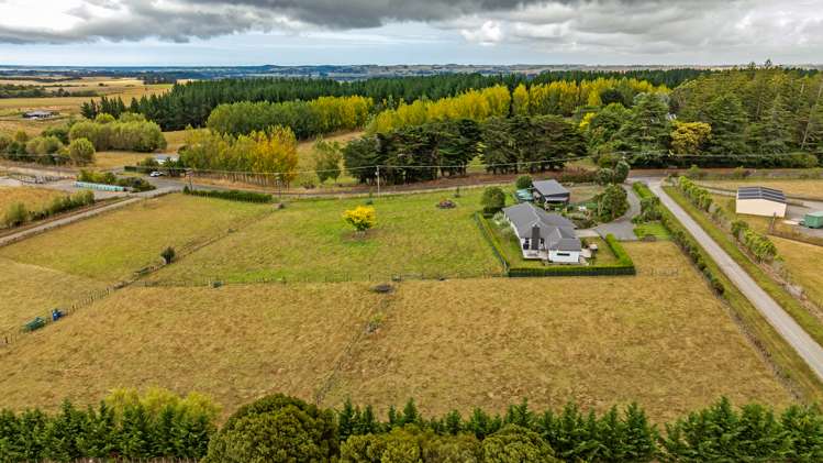 317c Mount Biggs Road Halcombe_22