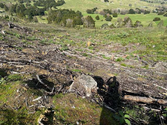 Waiotehue Road Herekino_3