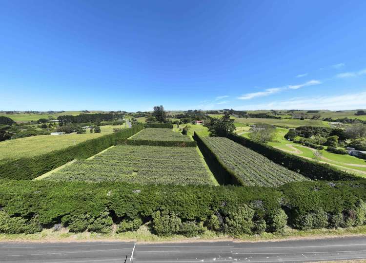 250 Taurangaruru Road Karioitahi_19