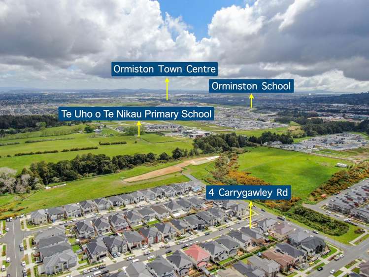 4 Carrygawley Road Flat Bush_14