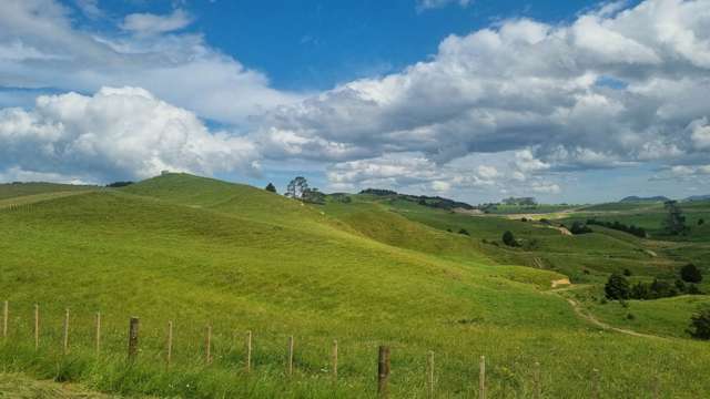 Okokako Road Waimate North_1